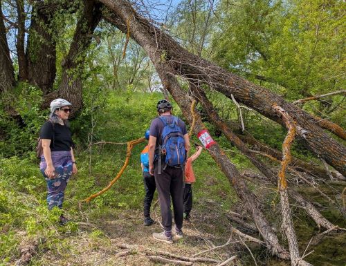 В Лаишевском районе прошла приключенческая гонка-рогейн «Курсор»
