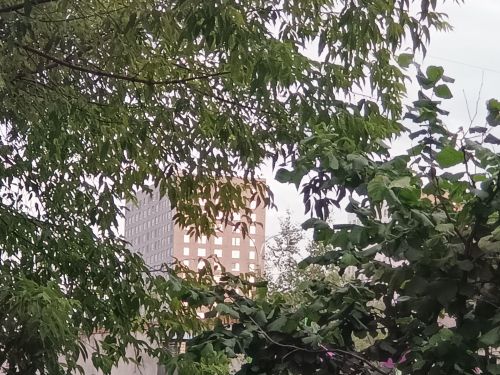 Погода на завтра в Лаишевском районе
