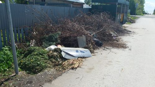 Лаишево в мусорном плену: равнодушие как эпидемия