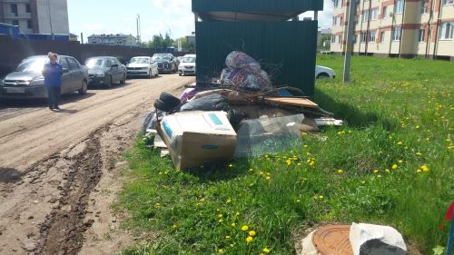 Лаишево в мусорном плену: равнодушие как эпидемия