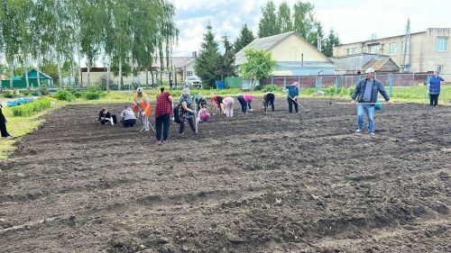 Учащиеся Лаишевского района в каникулы работают в пришкольном саду