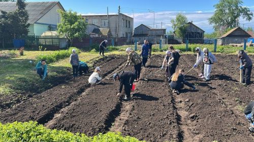 Учащиеся Лаишевского района в каникулы работают в пришкольном саду