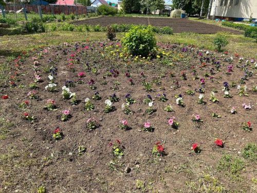 Учащиеся Лаишевского района в каникулы работают в пришкольном саду