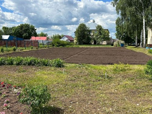 Учащиеся Лаишевского района в каникулы работают в пришкольном саду