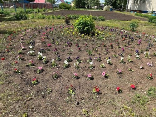 Лаеш районы укучылары каникулларда мәктәп яны бакчасында эшлиләр