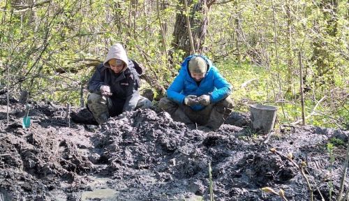 Поисковики Лаишевского района помогли найти останки 12 красноармейцев