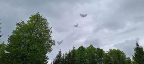 Лаешлылар Җиңү паркындагы Мәңгелек утка чәчәкләр салдылар
