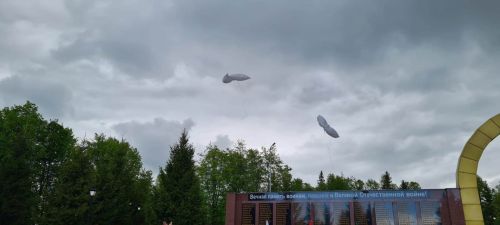 Лаешлылар Җиңү паркындагы Мәңгелек утка чәчәкләр салдылар