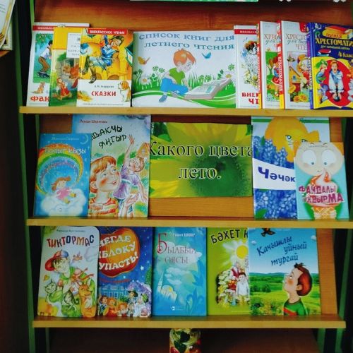 В Лаишевском районе организована книжная выставка «Волшебство книжного лета»
