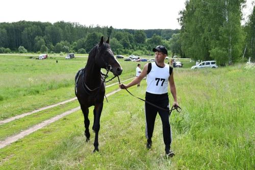 Конные скачки — изюминка Сабантуя