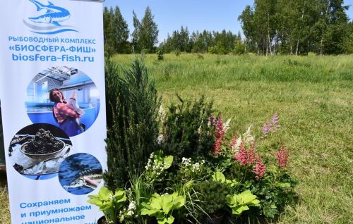 Сабантуй в Лаишево: традиционные подворья и ремесла
