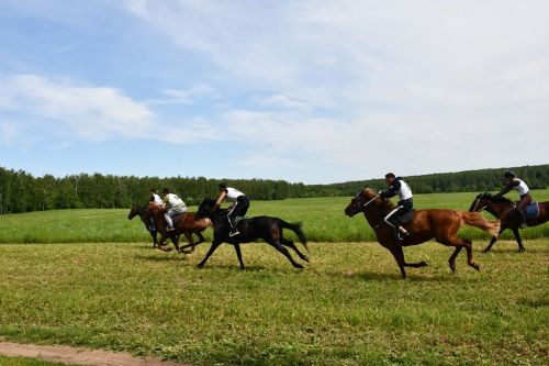 Конные скачки — изюминка Сабантуя