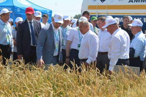 Лаеш районында «Агроволга-2025» авыл хуҗалыгы күргәзмәсе башланды