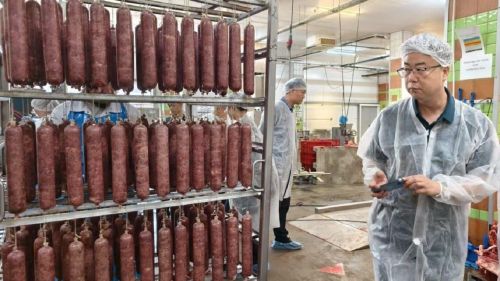 Китайские бизнесмены познакомились с предприятиями Лаишевского района