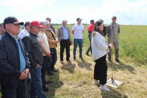 Лаеш районында көзге рапс буенча семинар узды