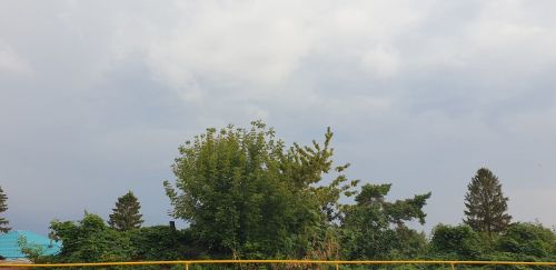 В Лаишевском районе ждут ливней с грозой