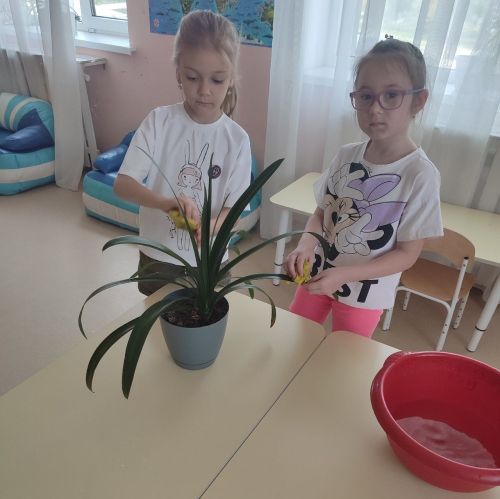 Для детей Лаишевского района провели «День заботы и любви»