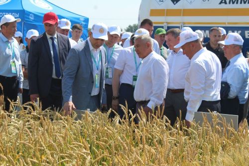 В Лаишевском районе началась сельскохозяйственная выставка «Агроволга-2025»