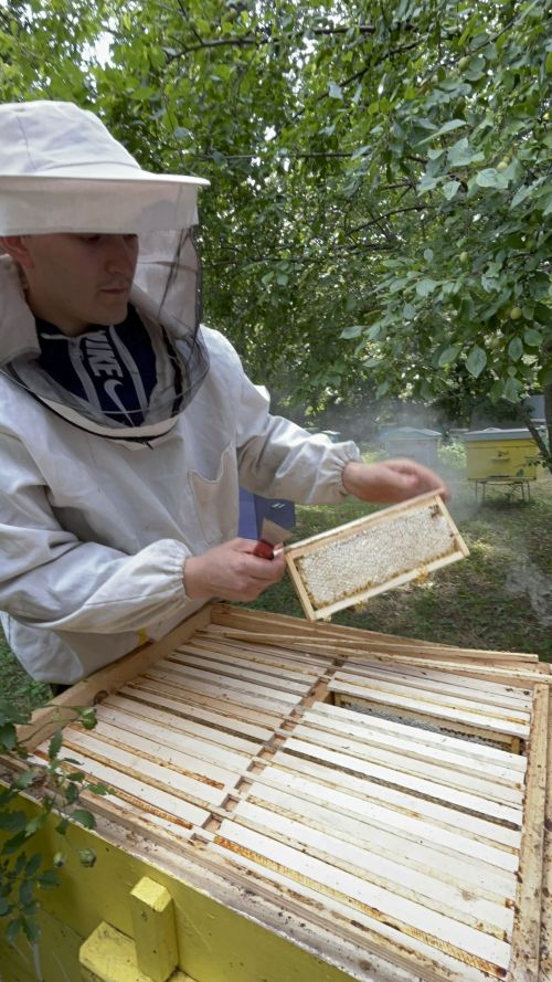 Пчеловод в седьмом поколении: история династии