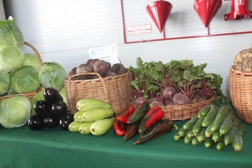 Татарстан Республикасы Рәисе Рөстәм Миңнеханов Лаеш районы аграрийлары белән очрашты