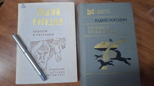 В Лаишевской библиотеке подготовили выставку книг «Неисправимый романтик»