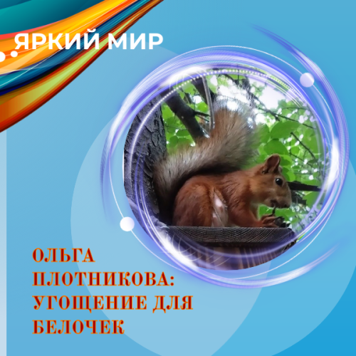 Ольга Плотникова делится фотографиями симпатичных городских белок