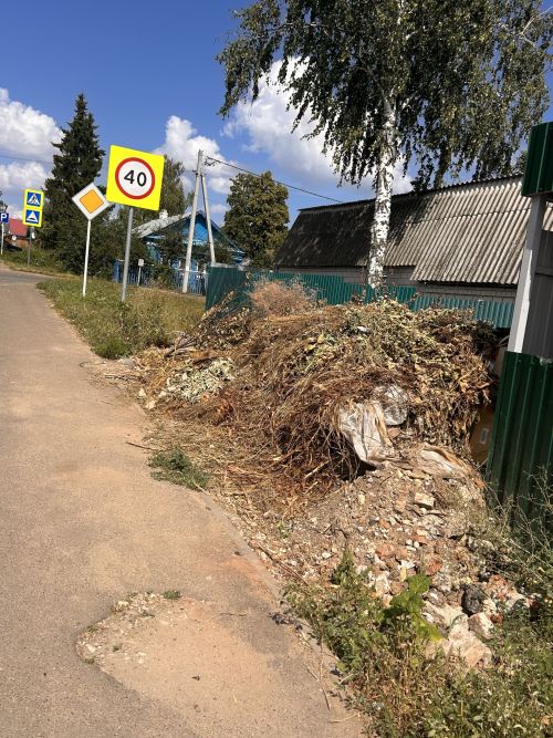 Мы призываем всех лаишевцев поддерживать порядок в нашем городе