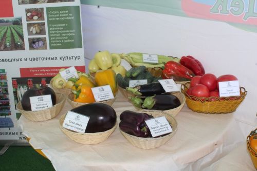 Министр сельского хозяйства России Оксана Лут посетила форум «Русское поле» в Лаишевском районе