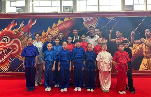 Тренировки по ушу для спортсменов в Лаишевском районе проводил чемпион мира и Европы