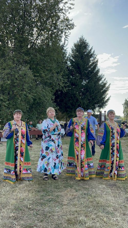 В Чирпах прошёл День села