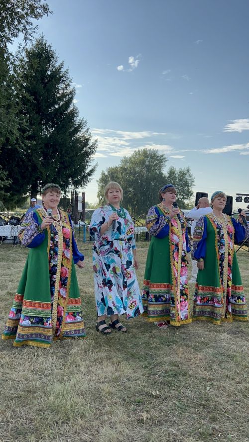 В Чирпах прошёл День села