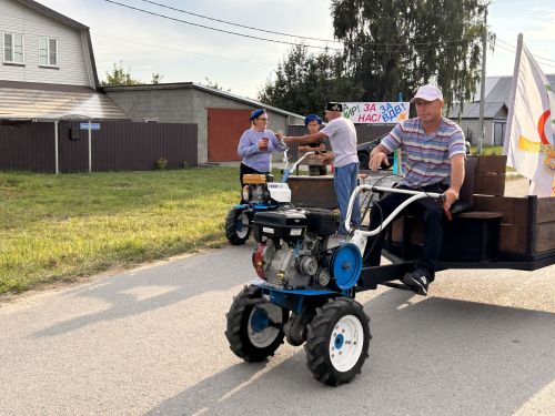 В Чирпах прошёл День села