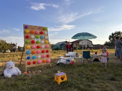 В Чирпах прошёл День села