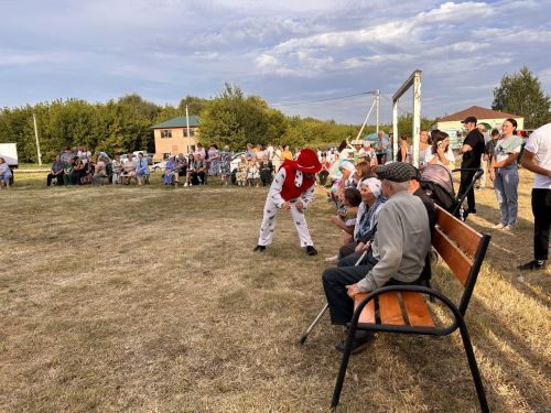 В Чирпах прошёл День села