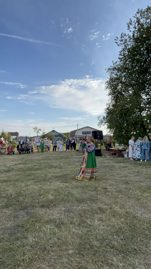 В Чирпах прошёл День села