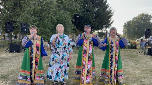 В Чирпах прошёл День села