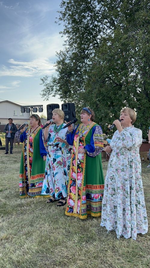 В Чирпах прошёл День села