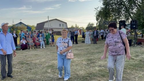 В Чирпах прошёл День села