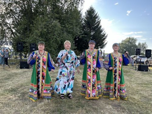 В Чирпах прошёл День села