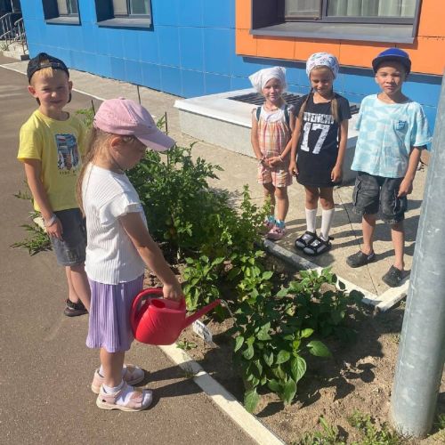Юные садоводы Лаишевского района хвастаются своим урожаем