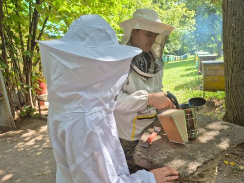 В августе так вкусно пахнет медом — едем к пчеловодам