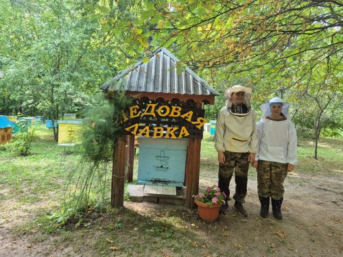 В августе так вкусно пахнет медом — едем к пчеловодам