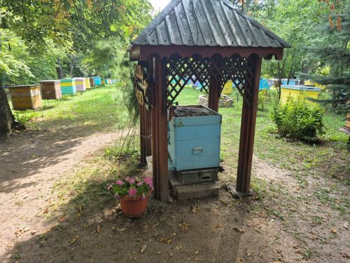 В августе так вкусно пахнет медом — едем к пчеловодам