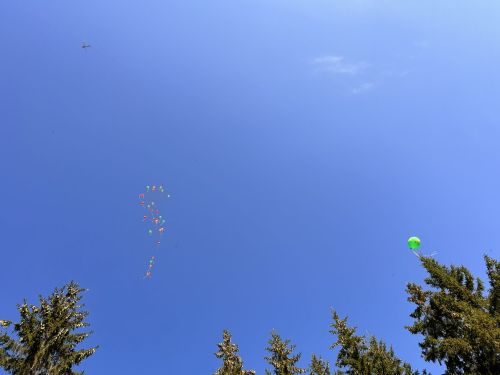 В Лаишевской школе №2 встретили День знаний