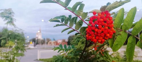 Городские пейзажи
