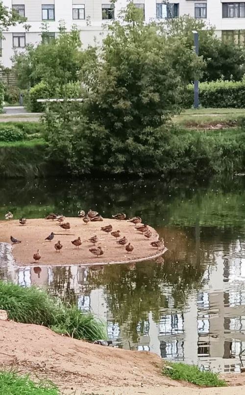 Городские пейзажи