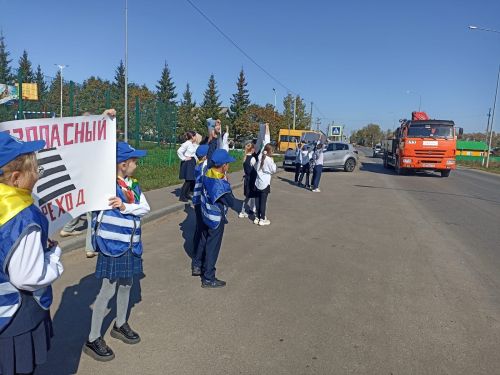 Кирби: Безопасность на дорогах начинается со школы