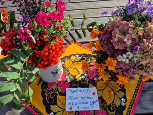 В минувшие выходные ТОСы порадовали жителей города интересным фестивалем