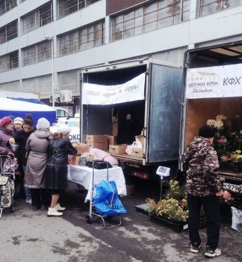 Сегодня в Казани проходит сельхозярмарка