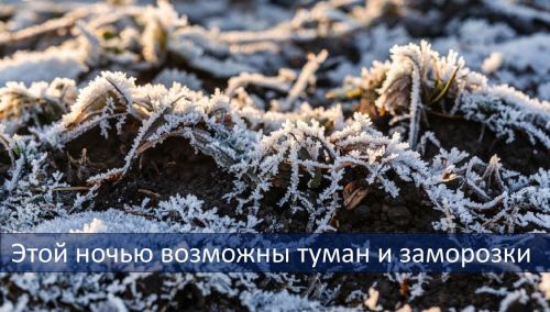 Ожидаются ночные заморозки